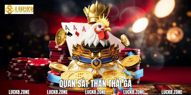 Quan sát thần thái gà